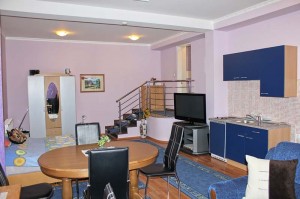 Apartmanska soba “President”- Antonio - Moteli Zagreb
