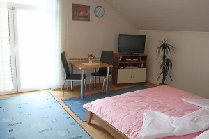 Apartmanske sobe "President" - Moteli Zagreb