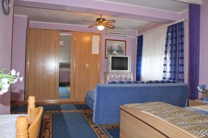 Apartment room with kitchen